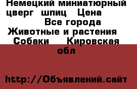 Немецкий миниатюрный(цверг) шпиц › Цена ­ 50 000 - Все города Животные и растения » Собаки   . Кировская обл.